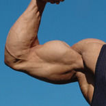 Big guns