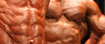 Bodybuilding Comps