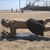 Hardcore Beach Workout With Carlos Navarro Hardcore Beach Workout With Carlos Navarro