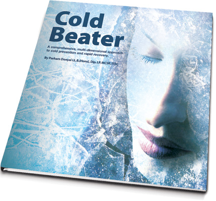 Cold Beater E-Book Cold Beater E-Book