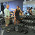 Dean Ash & Neale Cranwell in Shoulders Workout Part 2 