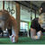 Kettlebell Core Workout Part 1- With Personal Trainer Charlotte Ord 