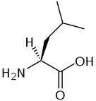 BCAA: Leucine BCAA: Leucine