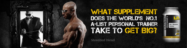 No.1 Muscle Builder
