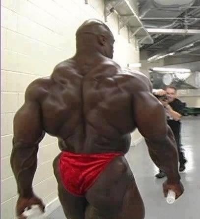 SEARCH AND BUY THIS PRODUCT SHICKING SIZE: The BIGGEST bodybuilders in the world