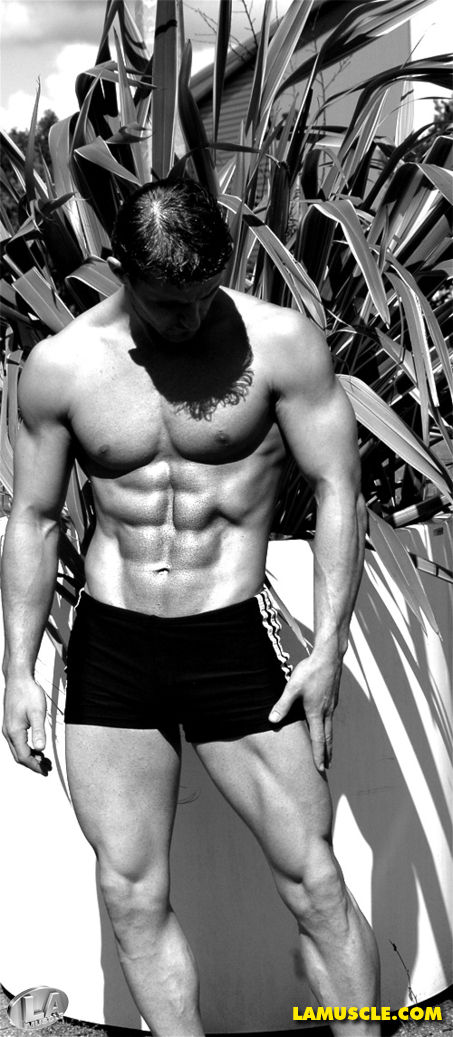 Simon Howard, Model