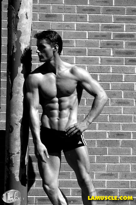 Simon Howard, Model Simon Howard, Model