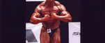 Darren Snook: NABBA & EFBB Qualifiers 2005, qst