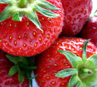 Live longer & healthier