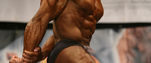 Wesley  Clarke: 2007 NPA Yorkshire Masters Champion 
