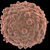 Immune System