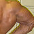 Dr Zak Pallikaros 4 weeks out photos