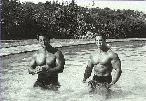Arnold Schwarzenegger,Reg Park, classic bodybuilders Arnold Schwarzenegger,Reg Park, classic bodybuilders