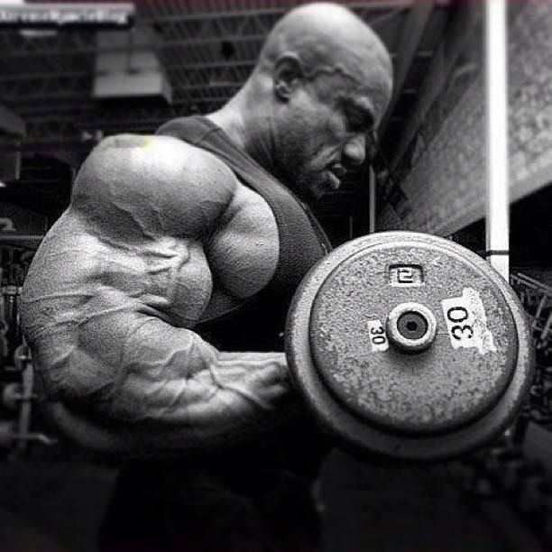 Phil Heath, biggest bodybuilder of all time contender Phil Heath, biggest bodybuilder of all time contender